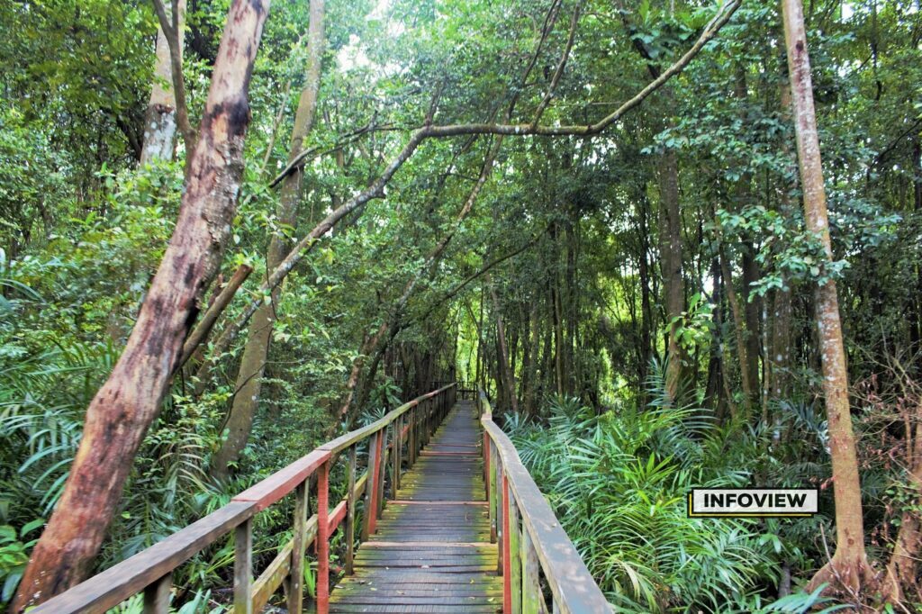 lekki conservation centre OPARABOY