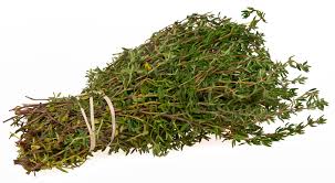 thyme